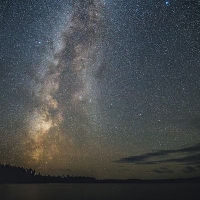 动物萌星球游戏下载